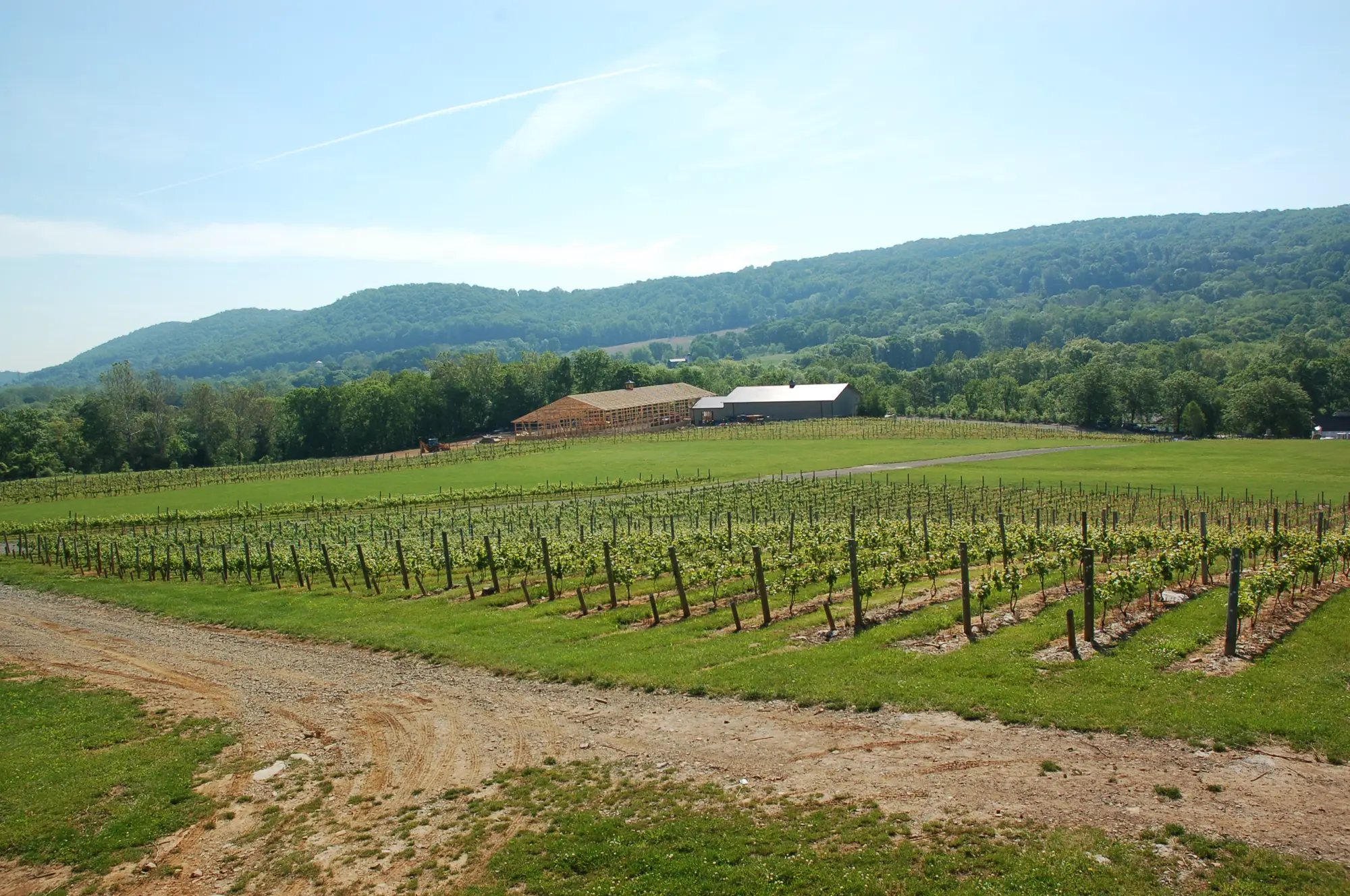 Alba Vineyard of New Jersey