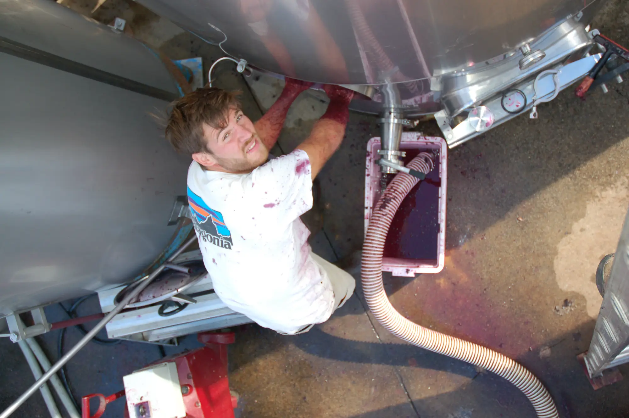 Making wine