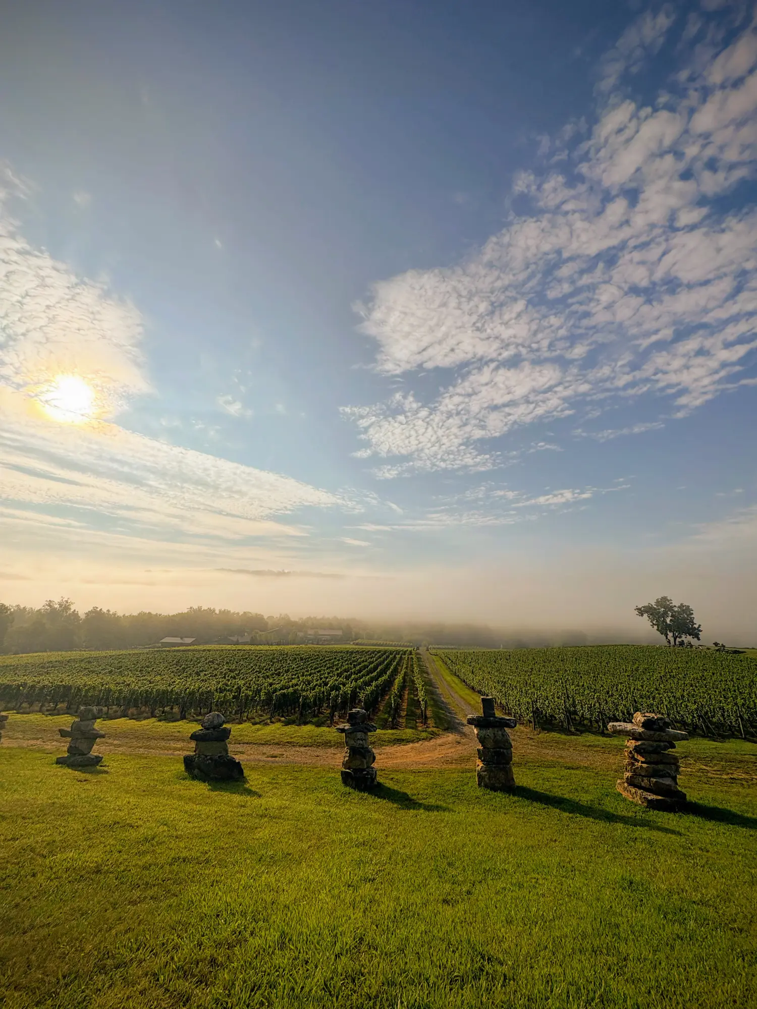 Piled rocks in the vineyard